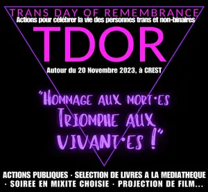tdor-23.png