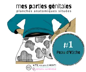 Capture d’écran du 2025-05-20 18-06-05.png