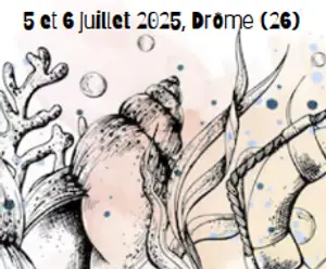 Capture d’écran du 2025-05-20 17-25-33.png