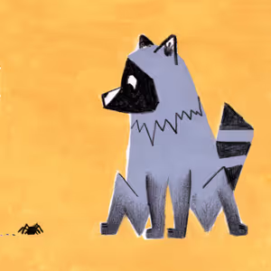 tanuki.jpeg