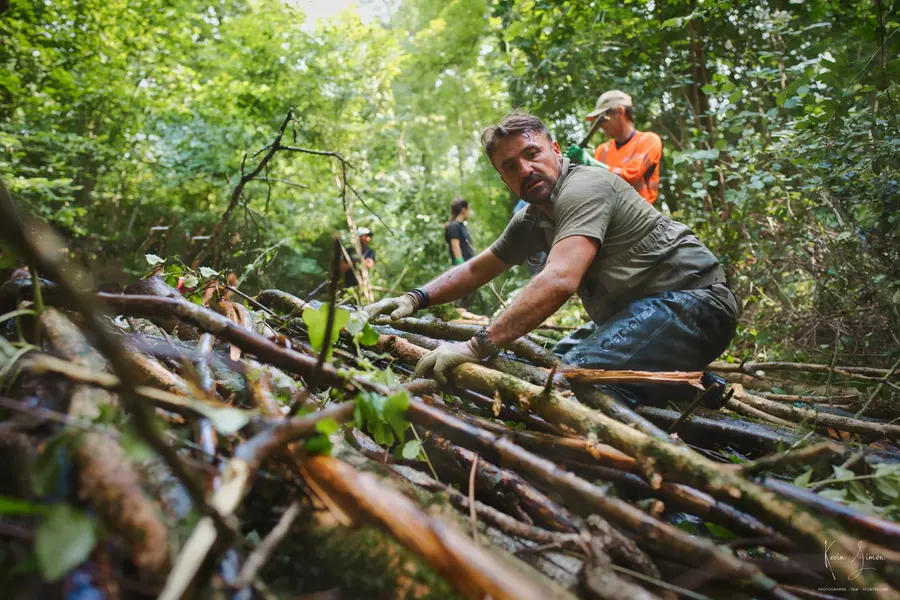 Des bénévoles taillent des branches en forêt