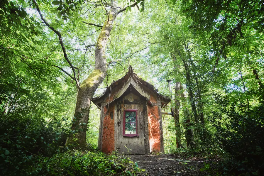 Une cabane en bois au cœur d’une forêt