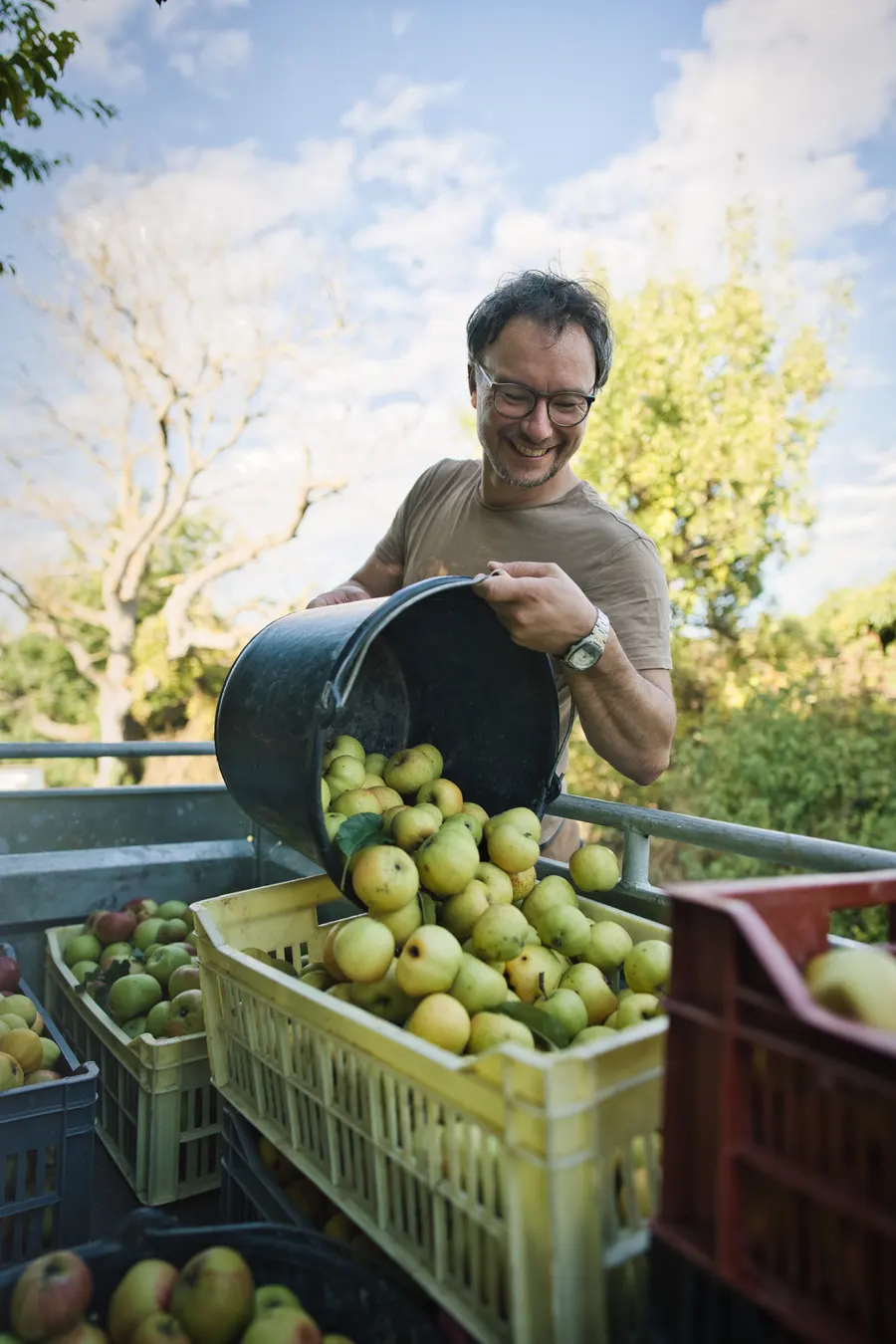 Un homme verse des pommes dans une caisse